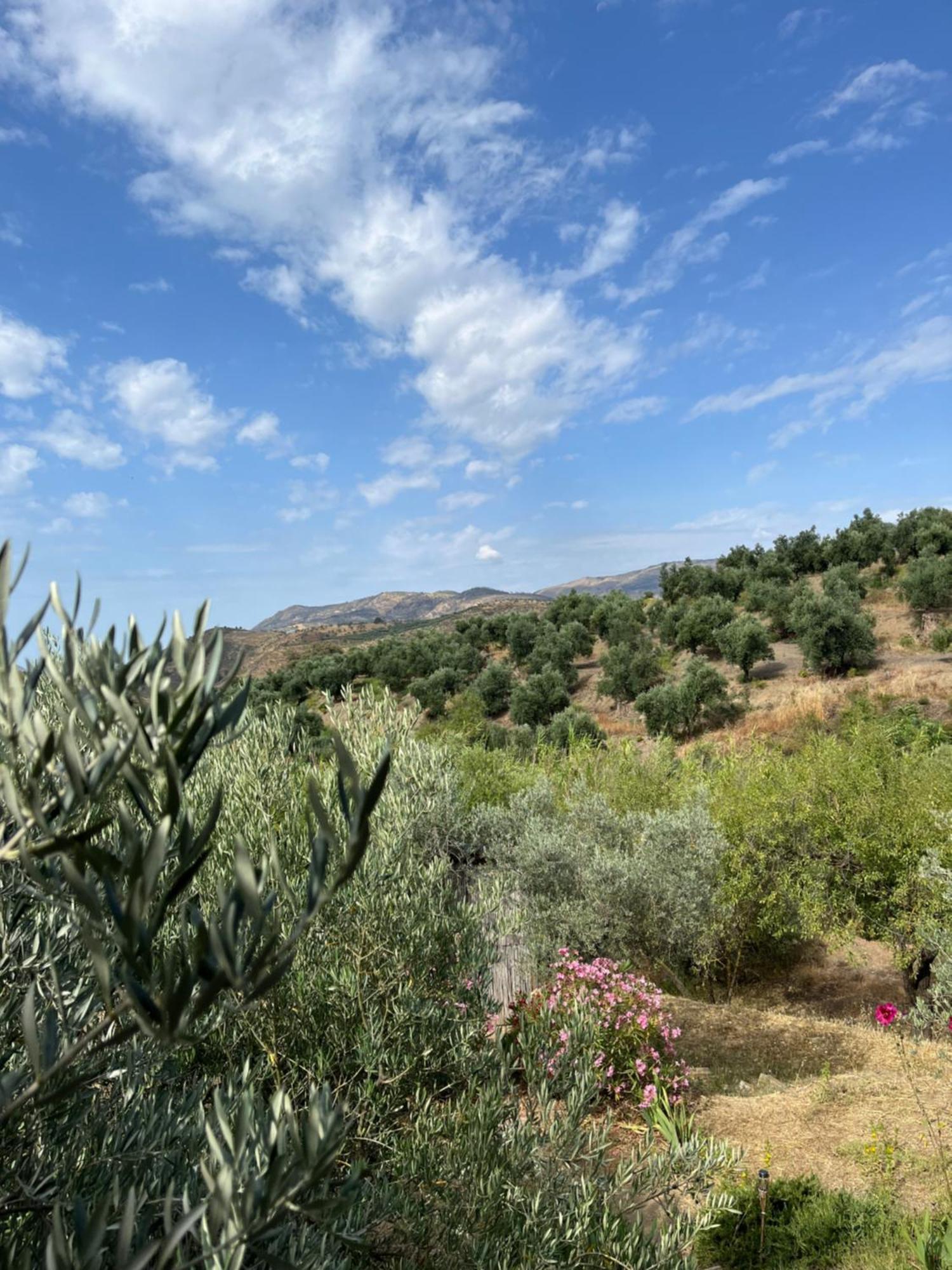 Cortijo Alhijra Big Yourte Lanjarón
