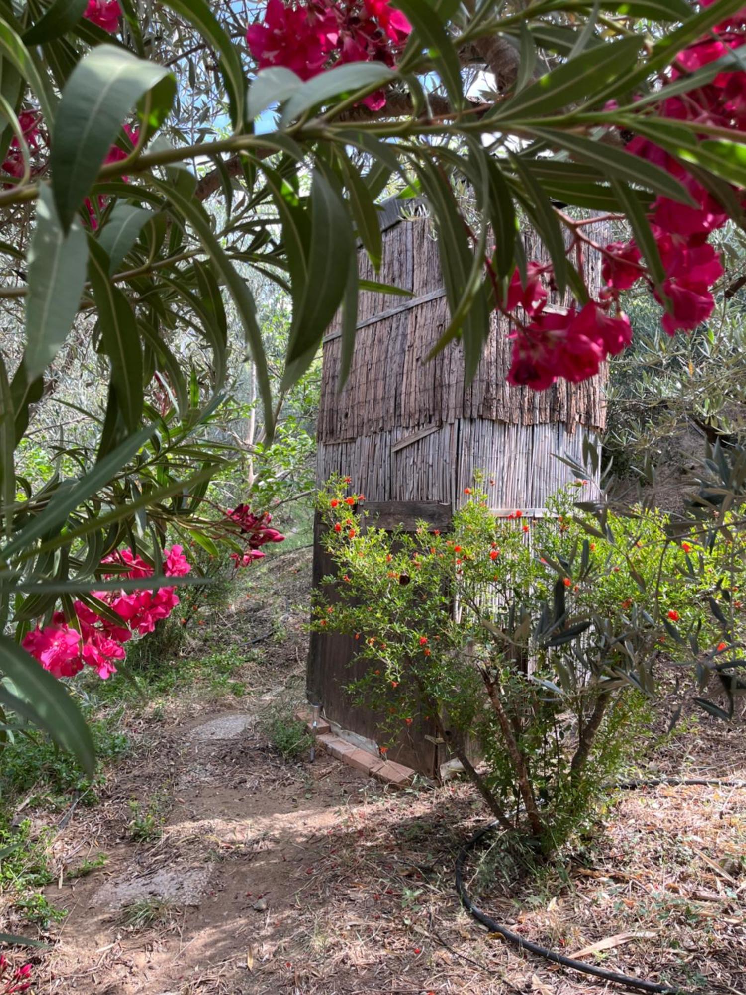 Luxuszelt Cortijo Alhijra Big Yourte